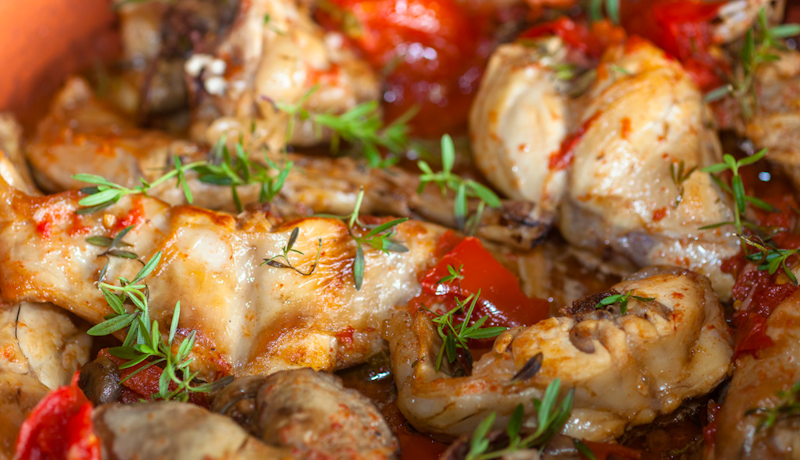 Kaninchen auf Art von Ischia