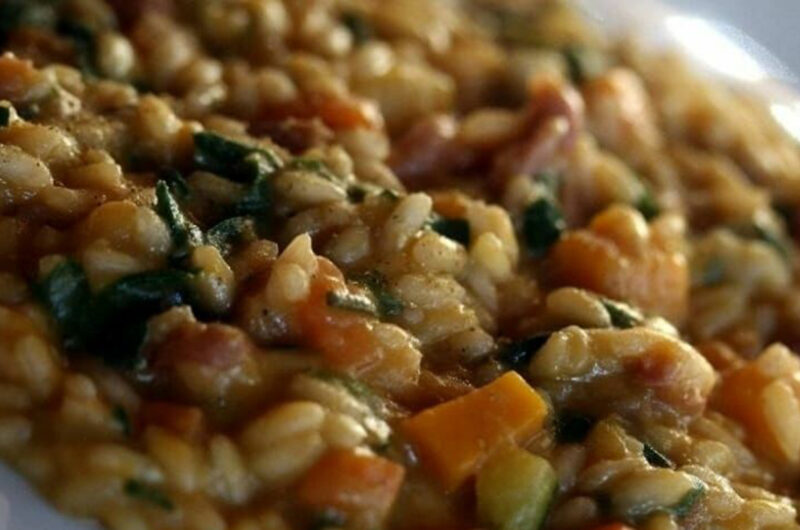 PANISCIA  DI NOVARA